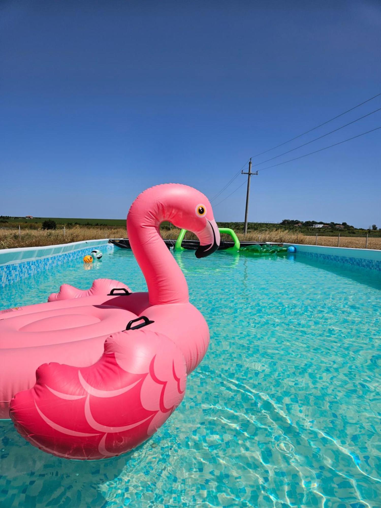 Mar A Lago Glamping23 Douăzeci şi Trei August Exterior foto
