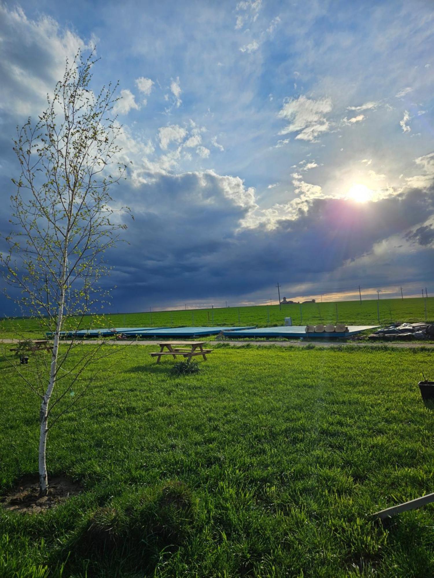 Mar A Lago Glamping23 Douăzeci şi Trei August Exterior foto